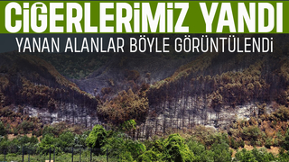 Geyve'de yanan ormanlık alan havadan görüntülendi