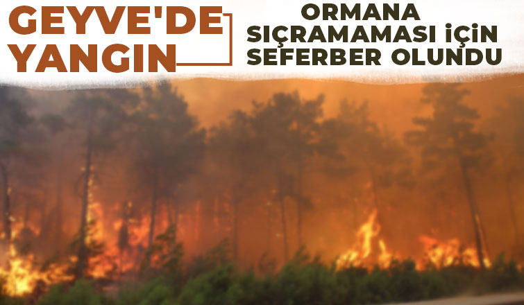 Geyve'de yangın
