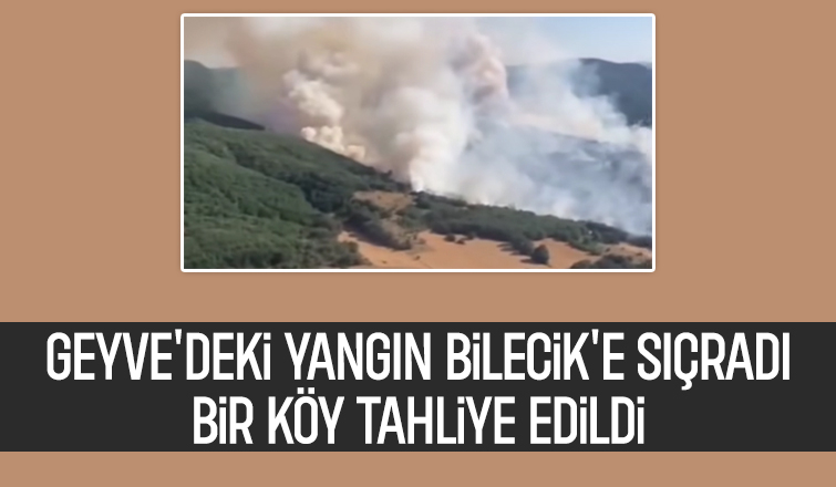 Geyve'deki orman yangını Bilecik'e sıçradı