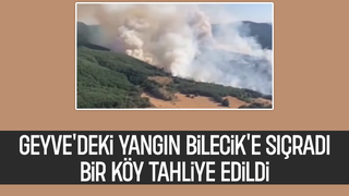 Geyve'deki orman yangını Bilecik'e sıçradı