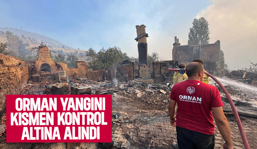Geyve'deki orman yangını kısmen kontrol altına alındı