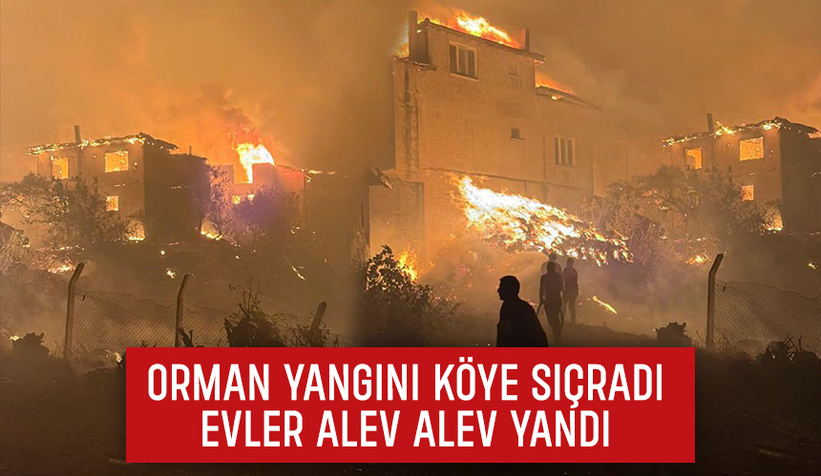 Geyve'deki orman yangını köye sıçradı