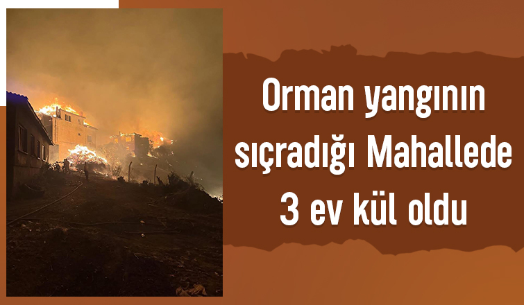 Geyve'deki yangın felaketinde 3 ev kül oldu