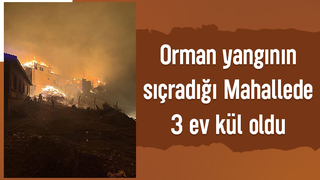 Geyve'deki yangın felaketinde 3 ev kül oldu