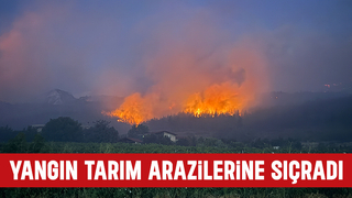 Geyve'deki yangın tarım arazilerine sıçradı