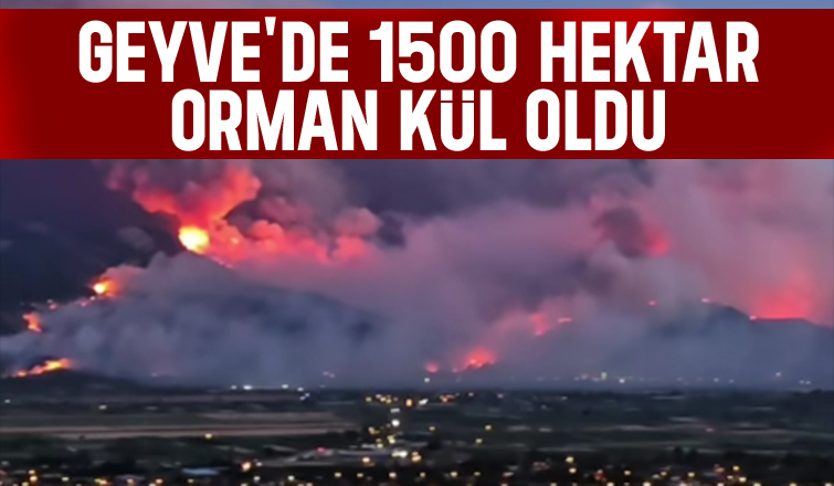 Geyve'deki yangının bilançosu: 1500 hektar orman kül oldu