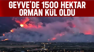 Geyve'deki yangının bilançosu: 1500 hektar orman kül oldu