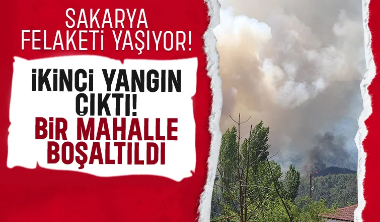 Geyve-Osmaneli sınırında ikinci yangın çıktı; Bir köy boşaltıldı