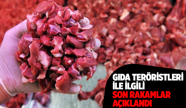 Gıda denetimlerinde 4 bine yakın olumsuzluk tespit edildi