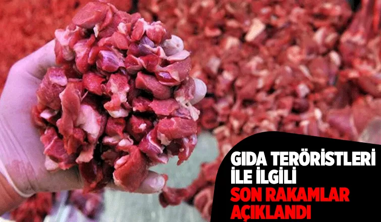 Gıda denetimlerinde 4 bine yakın olumsuzluk tespit edildi
