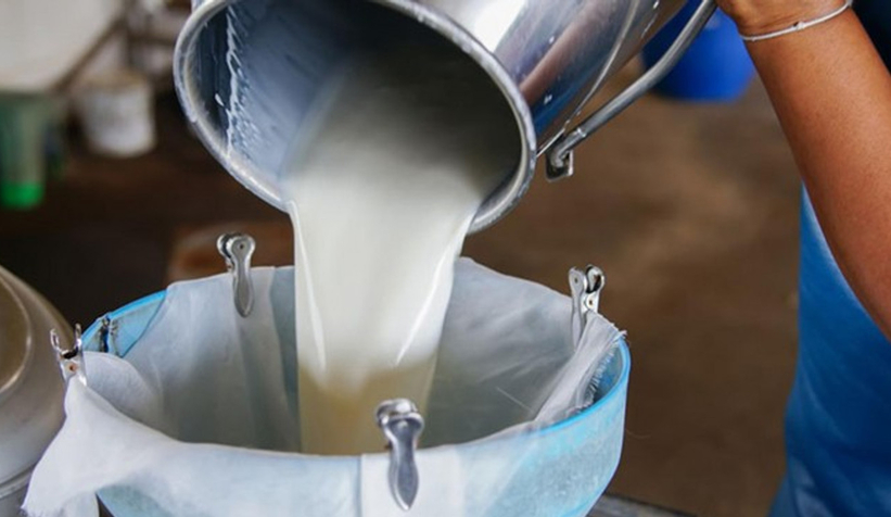 Gıda Komitesi’nden süt ve hububat kararı