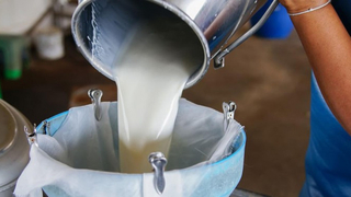 Gıda Komitesi’nden süt ve hububat kararı