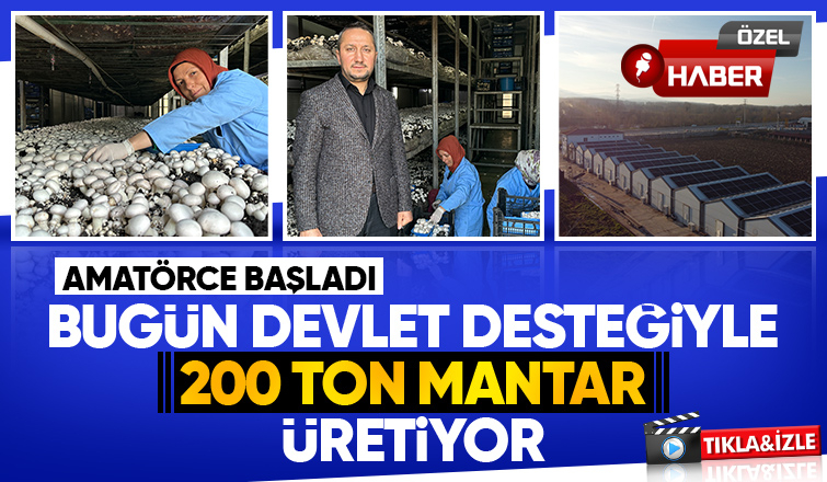 Girişimci çift, devlet desteğiyle kurdukları tesiste yıllık 200 ton kültür mantarı üretiyor
