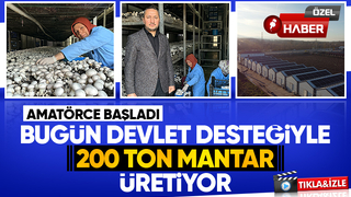 Girişimci çift, devlet desteğiyle kurdukları tesiste yıllık 200 ton kültür mantarı üretiyor