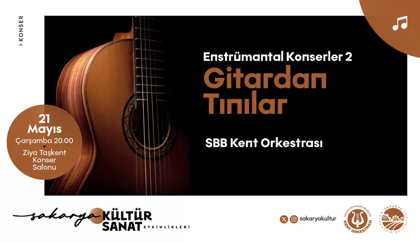 Gitardan Tınılar konseri Ziya Taşkent’te