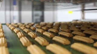 Glütensiz gıdada yüzde 100 yerli ve milli hamle