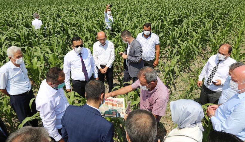 Gökçeören Ovası'nda inceleme yaptılar