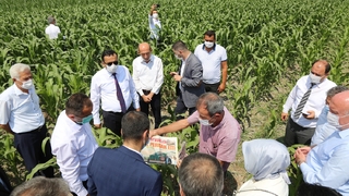 Gökçeören Ovası'nda inceleme yaptılar