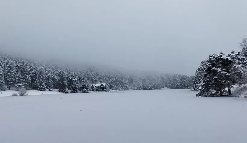 Gölcük Tabiat Parkı'nda göl dondu