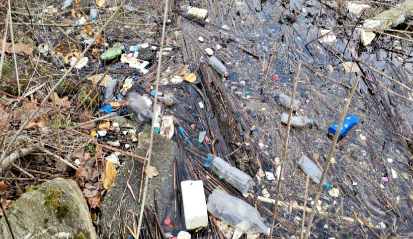 Gölden utanç verici manzara