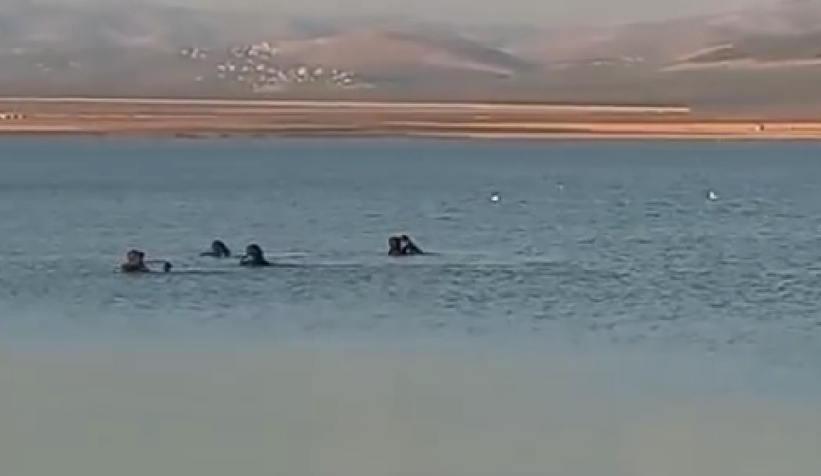 Gölette facia; Baba ve 4 çocuğu boğuldu