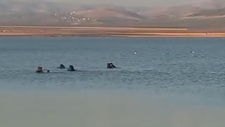 Gölette facia; Baba ve 4 çocuğu boğuldu