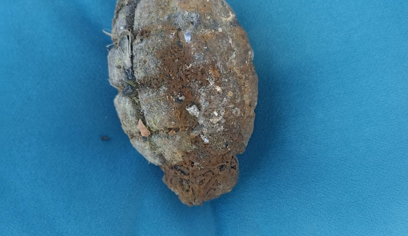 Gölün içinde patlamamış el bombası bulundu