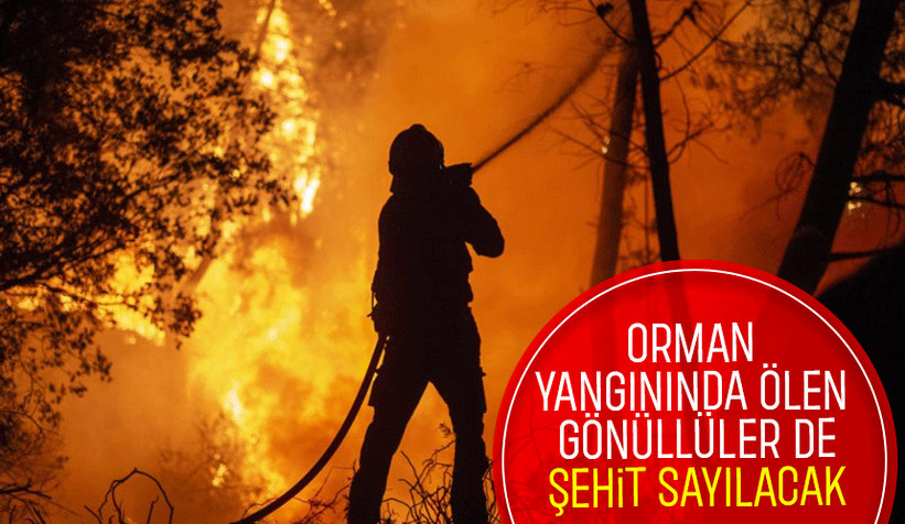 Gönüllüler için karar; Şehit sayılacaklar