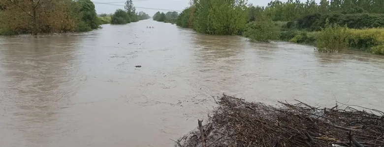 Görüntüler Mudurnu Deresi'nden; Köprüde set oluşturdu