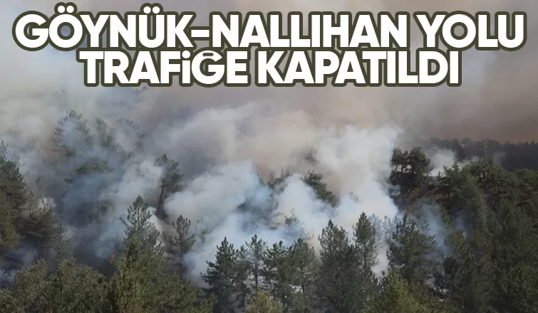 Göynük-Nallıhan yolu trafiğe yangın nedeniyle kapatıldı