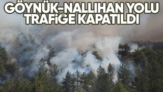 Göynük-Nallıhan yolu trafiğe yangın nedeniyle kapatıldı