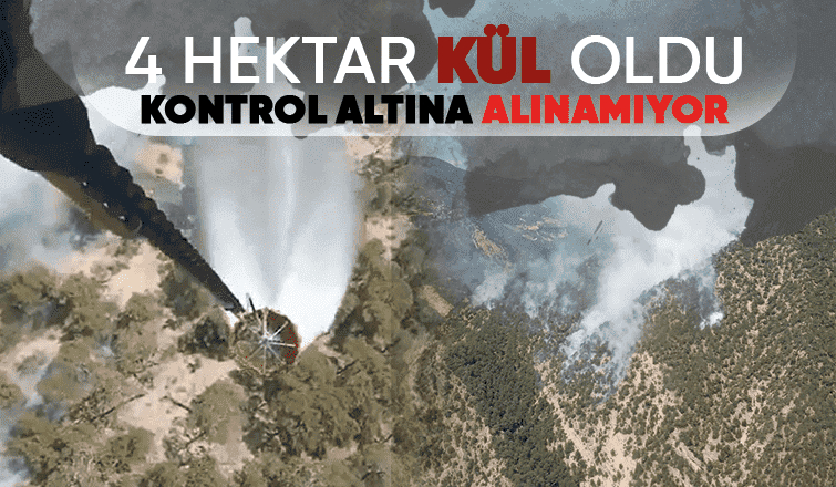 Göynük'te orman yangını kontrol altına alınamadı