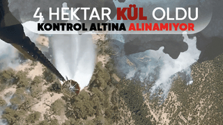 Göynük'te orman yangını kontrol altına alınamadı