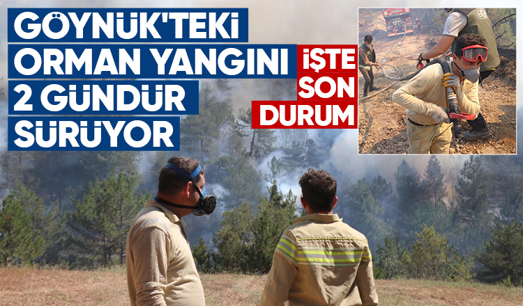 Göynük'teki orman yangını kontrol altına alınamadı