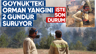 Göynük'teki orman yangını kontrol altına alınamadı