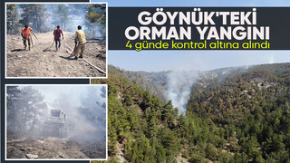 Göynük'teki orman yangını kontrol altına alındı