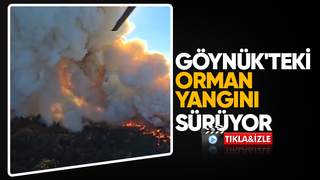 Göynük'teki orman yangınına 10 helikopter müdahale ediyor