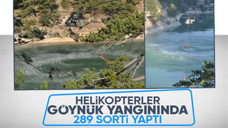 Göynük'teki orman yangınında helikopterler 775 ton su attı