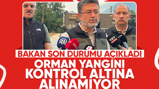 Göynük'teki orman yangınında son durum