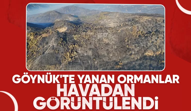 Göynük'teki yangının boyutu havadan görüntülendi
