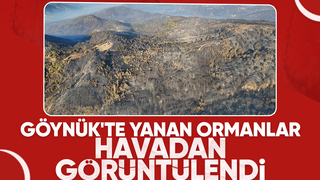 Göynük'teki yangının boyutu havadan görüntülendi