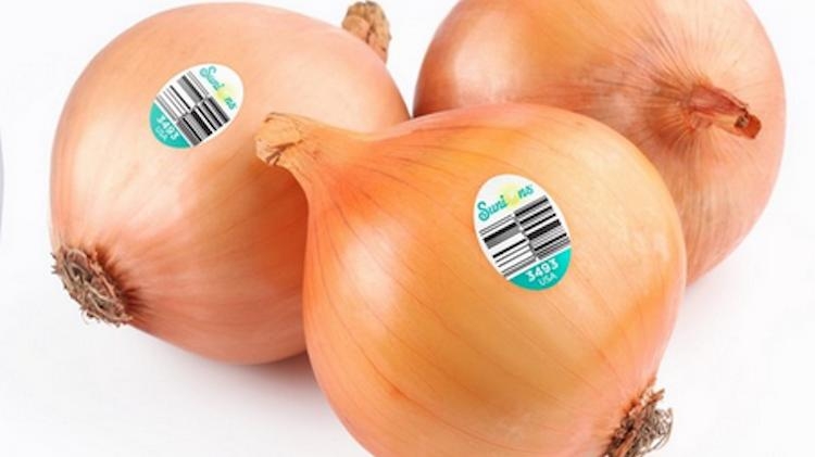 Göz yaşartmayan soğan tartışma yarattı