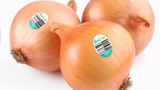 Göz yaşartmayan soğan tartışma yarattı