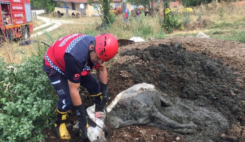 Gübre yığının içine batan eşek kurtarıldı