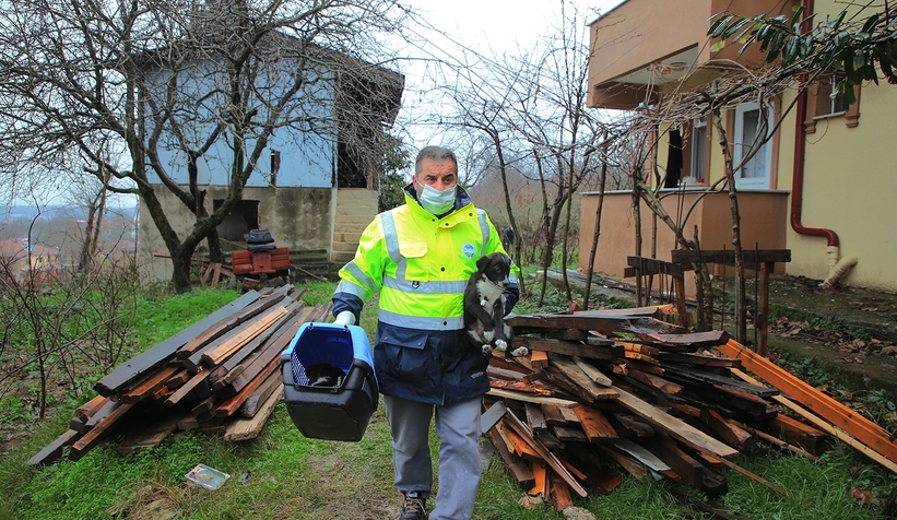 Gündem olmuştu, anne köpek ve yavrularını koruma altına aldı