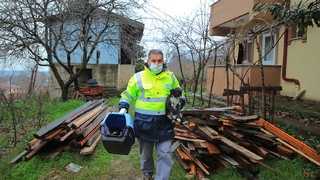 Gündem olmuştu, anne köpek ve yavrularını koruma altına aldı