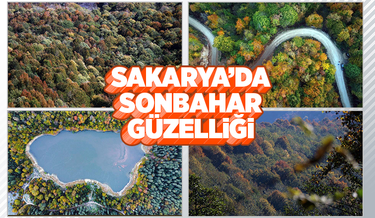 Günün en güzel fotoğrafları