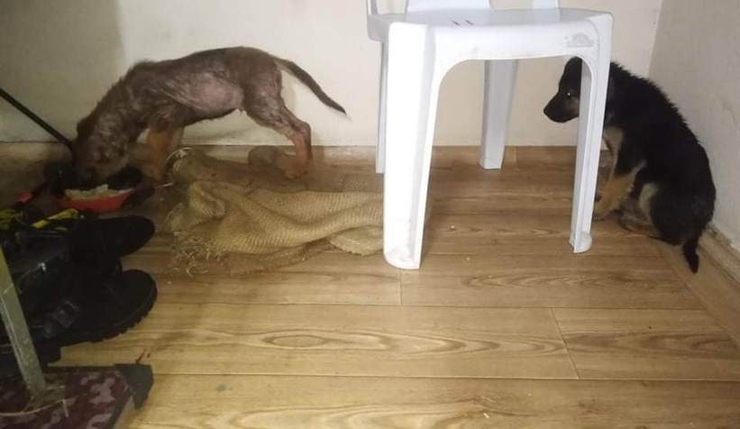 Günün en güzel haberi