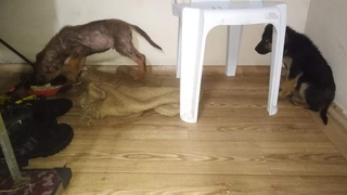 Günün en güzel haberi