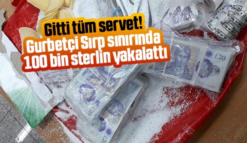Gurbetçi Sırp sınırında 100 bin sterlin yakalattı